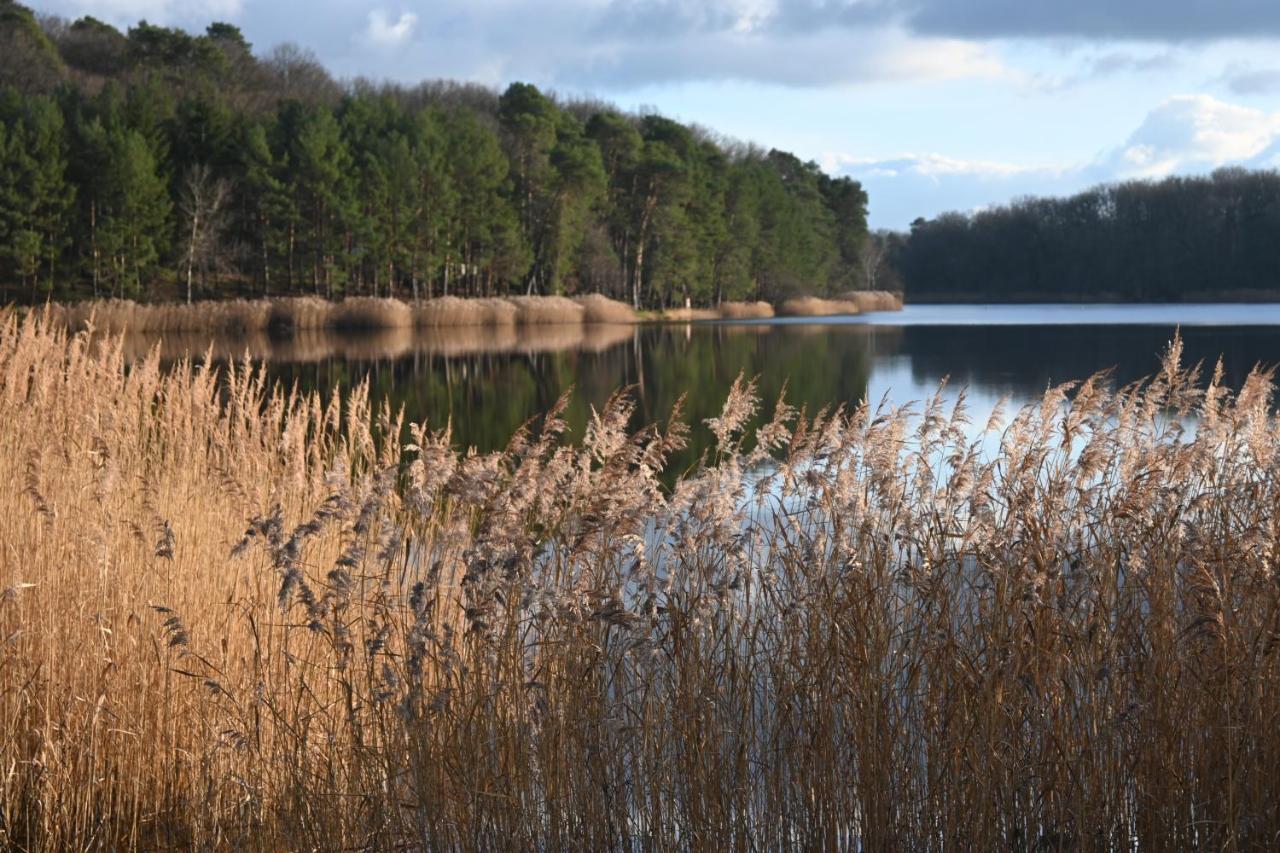 Aux 3 Forets Bizeneuille Dış mekan fotoğraf